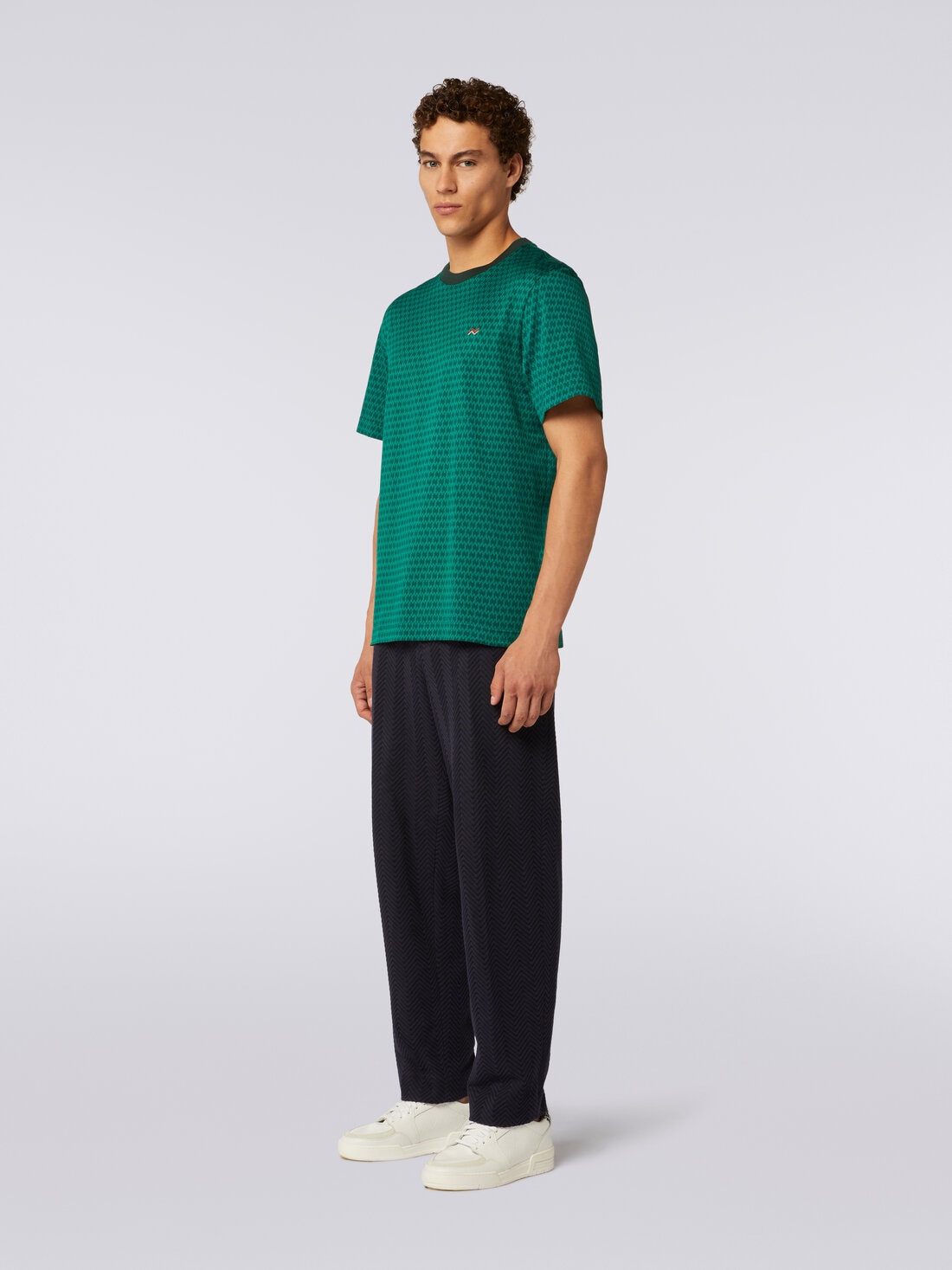 Camiseta de cuello redondo de algodón con bordados, Verde  - US23WL0DBJ00HLS6121 - 2
