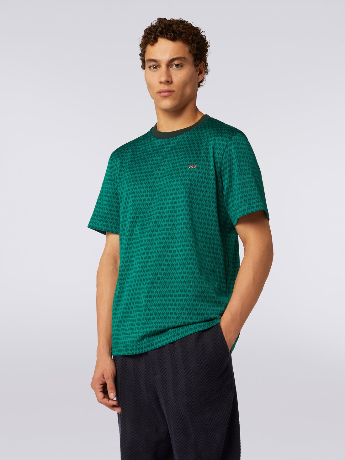 Camiseta de cuello redondo de algodón con bordados, Verde  - US23WL0DBJ00HLS6121 - 4