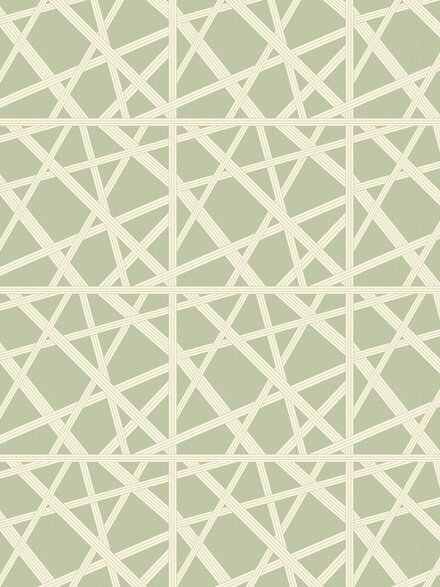 Nastri Wallpaper 10,5x1 mt, Green - 1D4SE0165