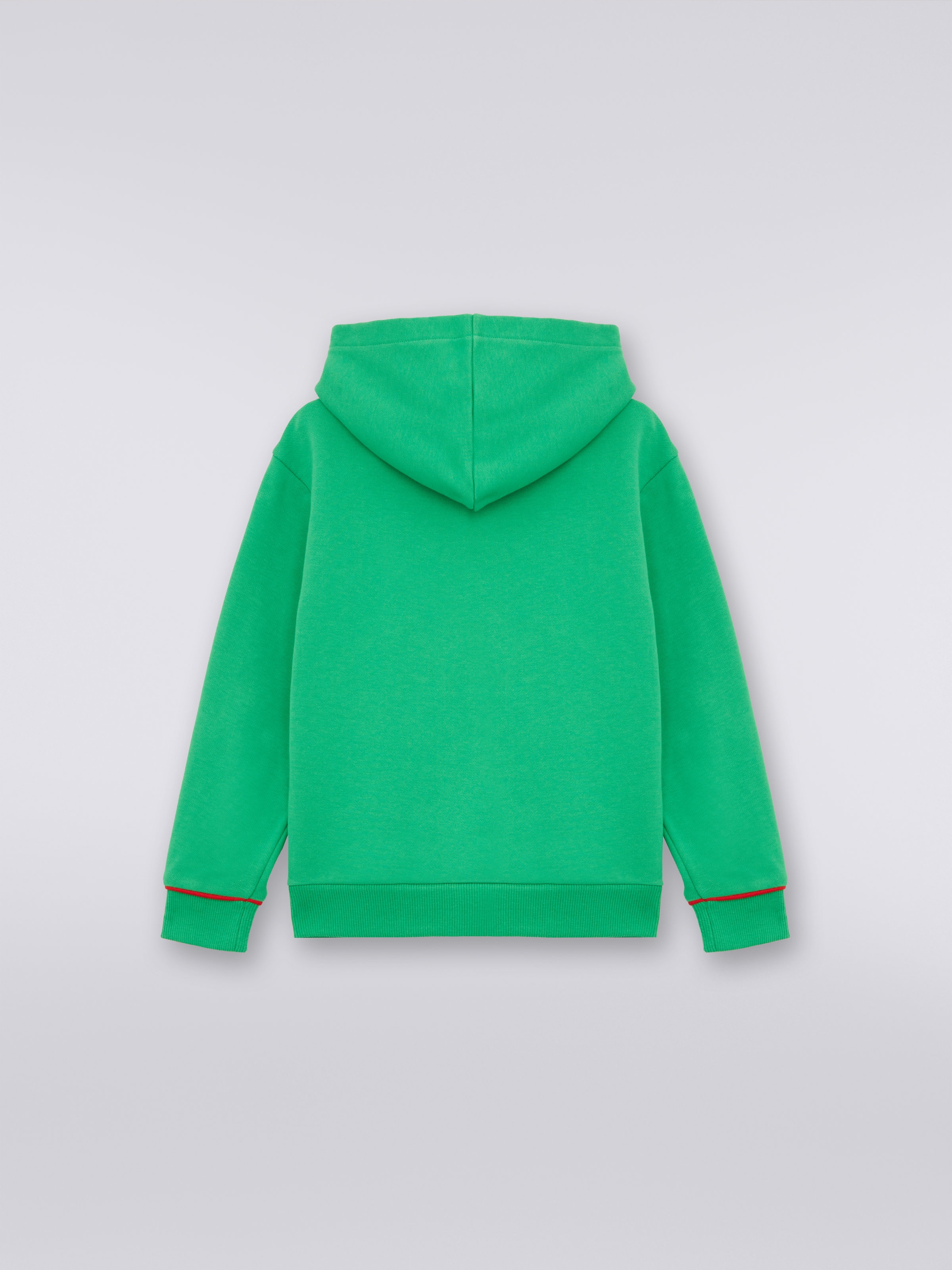 Cotton hoodie with dégradé logo, Green - 1