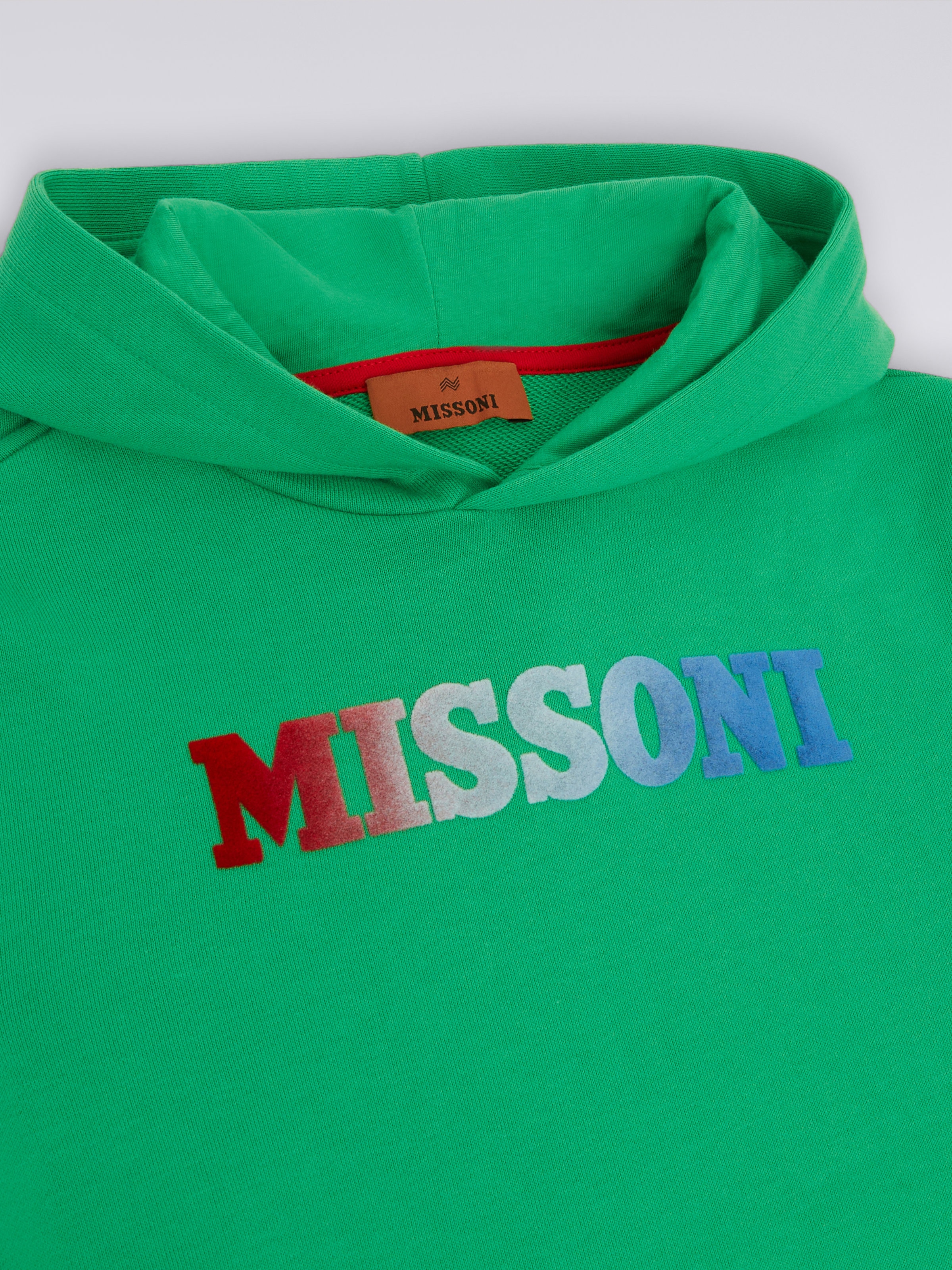 Cotton hoodie with dégradé logo, Green - 2