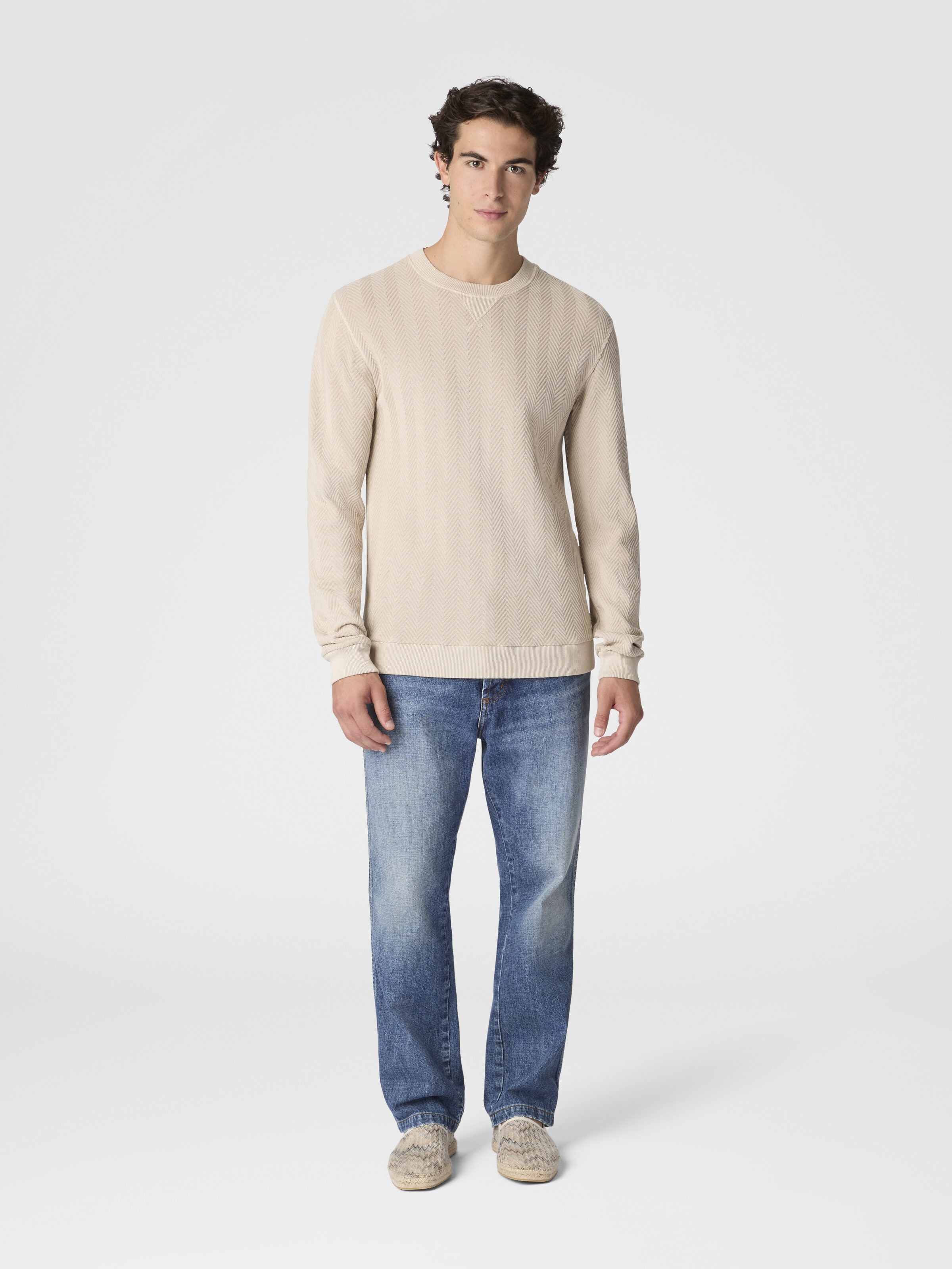 Crew-neck cotton and viscose sweatshirt with tone-on-tone zigzag pattern, Beige - 1